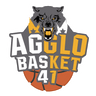 CTC Agglo Basket 41