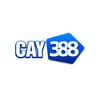 Nhà Cái  CAY388