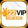 22Vip in net