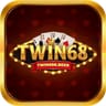 Twin68 beer