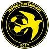 FC Saint Avit