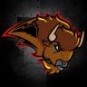 Bisons Mixte D2 Saison 2019