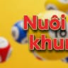 Nuôi đề khung