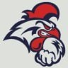 Patriotes Mixte D2 Saison 2019