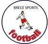 Brece Sp U12 U13 - D3 2019-2020